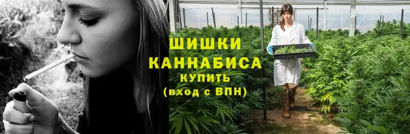 Шишки марихуана Ganja  mega зеркало  Галич 